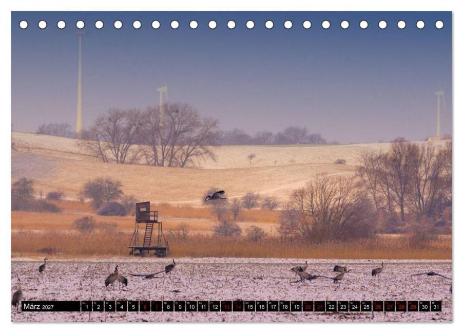 InsideView 8
