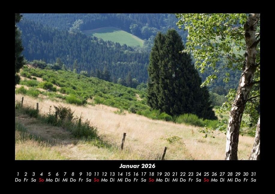 InsideView 5