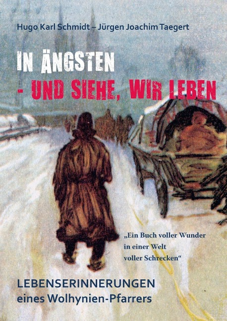 In Ängsten - und siehe, wir leben - Hugo Karl Schmidt