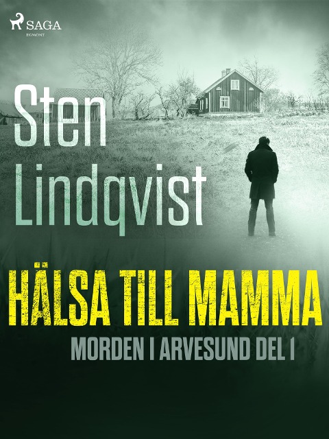 Hälsa till mamma - Sten Lindqvist