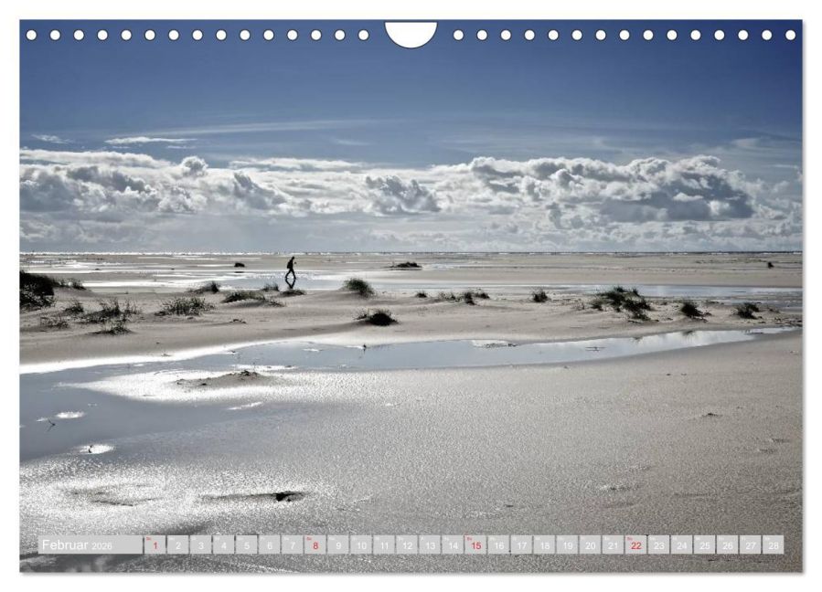 InsideView 7