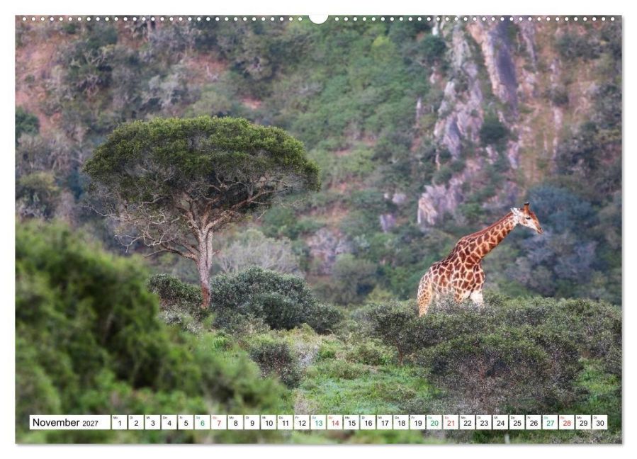 InsideView 3