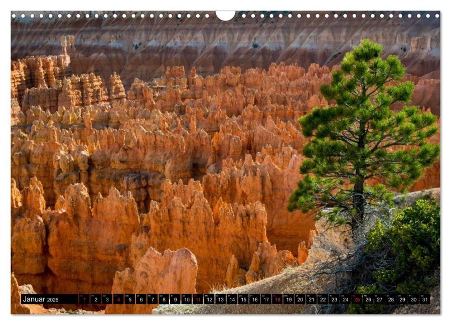 InsideView 6