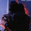 Cover-Bild zum Titel 'Trauma Factory' von 'Nowhere. Nothing'