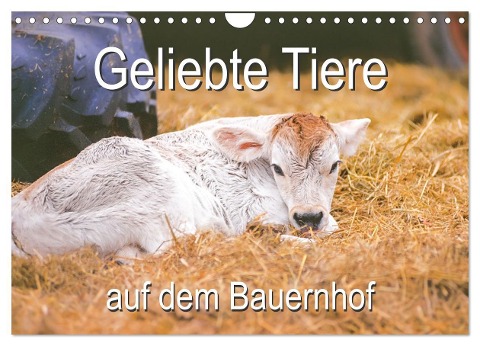 Geliebte Tiere auf dem Bauernhof (Wandkalender 2025 DIN A4 quer), CALVENDO Monatskalender - Carola Vahldiek