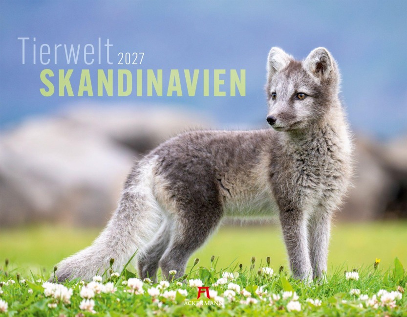 Tierwelt Skandinavien Kalender 2027 - 