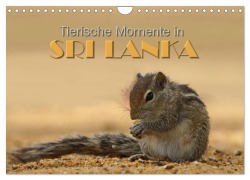 Cover-Bild zum Titel 'Sri Lanka - Tierische Momente (Wandkalender 2027 DIN A4 quer), CALVENDO Monatskalender' von 'Michael Matziol'