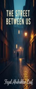 Cover-Bild zum Titel 'The Streets Between Us' von 'Fazal Abubakkar Esaf'
