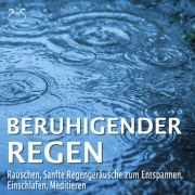 Cover-Bild zum Titel 'Beruhigender Regen - Rauschen, Sanfte Regengeräusche zum Entspannen, Einschlafen, Meditieren' von 'Torsten Abrolat, Franziska Diesmann'