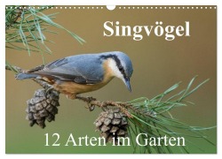 Cover-Bild zum Titel 'Singvögel - 12 Arten im Garten (Wandkalender 2027 DIN A3 quer), CALVENDO Monatskalender' von 'Bia Birdimagency'