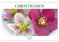 Christrosen (Wandkalender 2024 DIN A4 quer), CALVENDO Monatskalender - Gisela Kruse