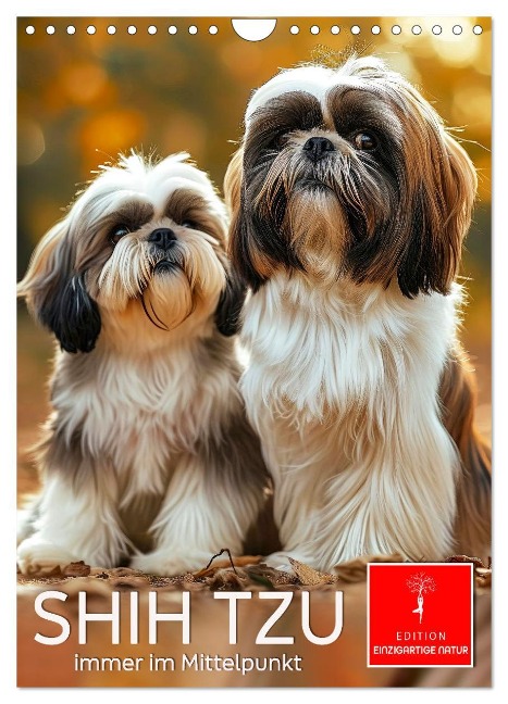 Shih Tzu - immer im Mittelpunkt (Wandkalender 2025 DIN A4 hoch), CALVENDO Monatskalender - Peter Roder