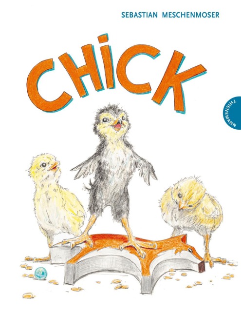 Chick - Sebastian Meschenmoser