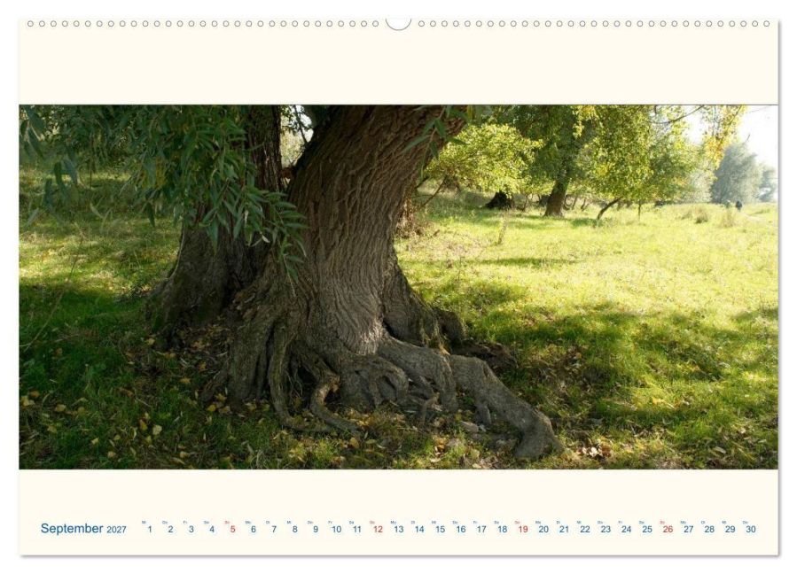 InsideView 13