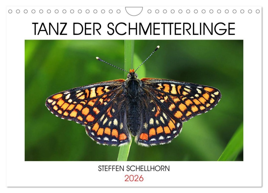 TANZ DER SCHMETTERLINGE (Wandkalender 2026 DIN A4 quer), CALVENDO Monatskalender - Steffen Schellhorn