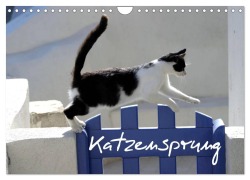 Cover-Bild zum Titel 'Katzensprung (Wandkalender 2026 DIN A4 quer), CALVENDO Monatskalender' von 'Alexandra Loos - Www. Shabbyflair. De'