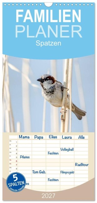 Familienplaner 2027 - Spatzen mit 5 Spalten (Wandkalender, 21 x 45 cm) CALVENDO - Marianne Drews