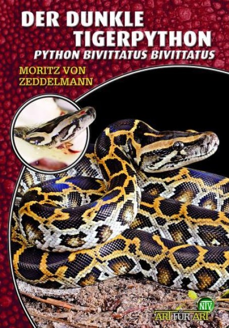 Der dunkle Tigerpython - Moritz von Zeddelmann