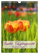 Cover-Bild zum Titel 'Bunte Tulpenpracht (Wandkalender 2026 DIN A4 hoch), CALVENDO Monatskalender' von 'Gisela Kruse'