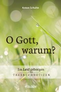 Cover-Bild zum Titel 'O Gott, warum?' von 'Anton Schulte'