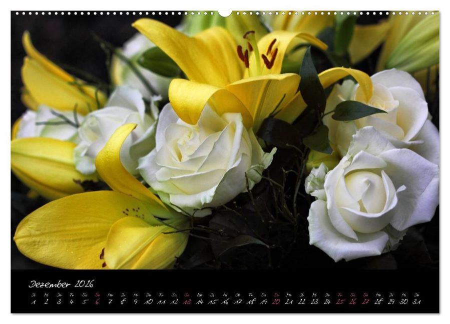 InsideView 3