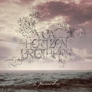 In Murmuration - von Hertzen Brothers