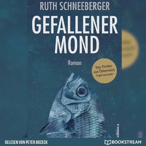 Gefallener Mond - Ruth Schneeberger