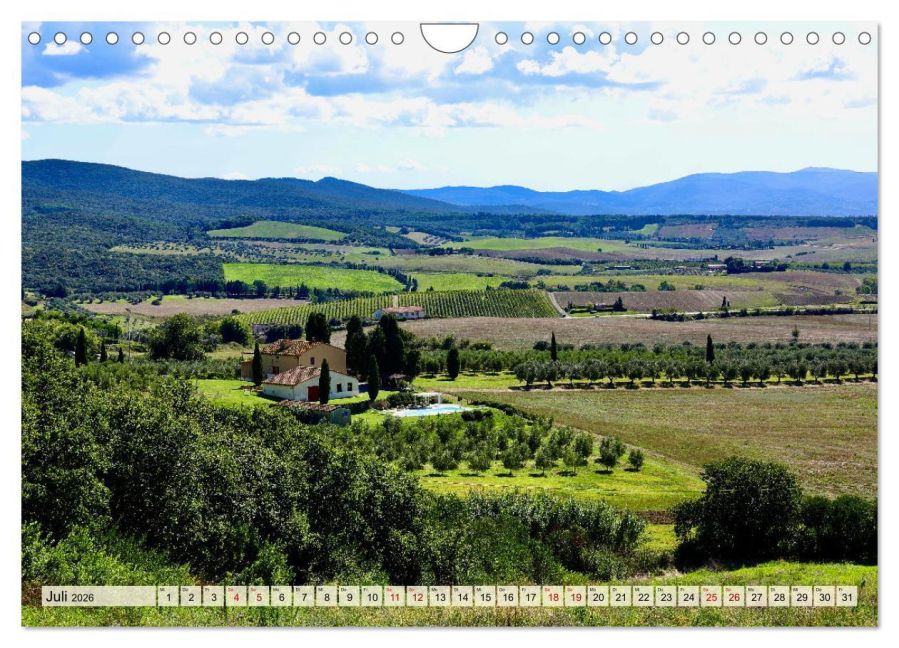InsideView 12