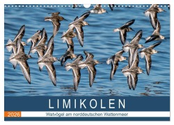 Limikolen - Watvögel am norddeutschen Wattenmeer (Wandkalender 2026 DIN A3 quer), CALVENDO Monatskalender - Arne Wünsche