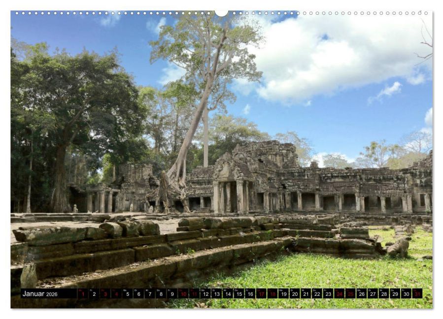 InsideView 6