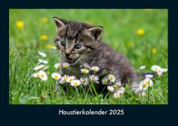 Cover-Bild zum Titel 'Haustierkalender 2025 Fotokalender DIN A4' von 'Tobias Becker'