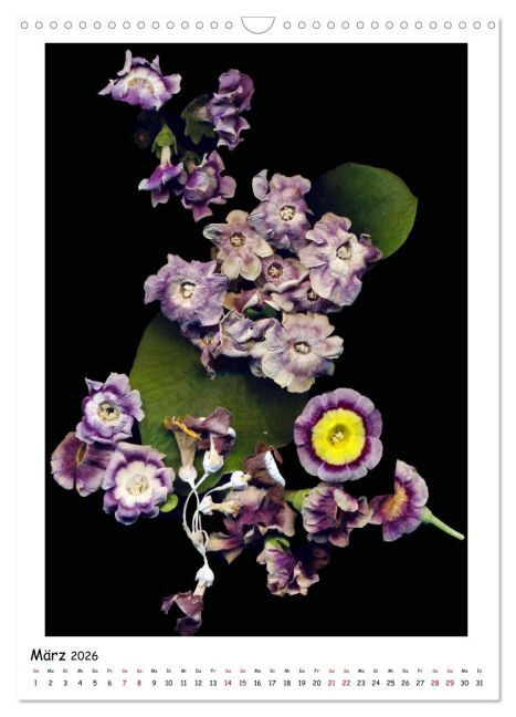 InsideView 8