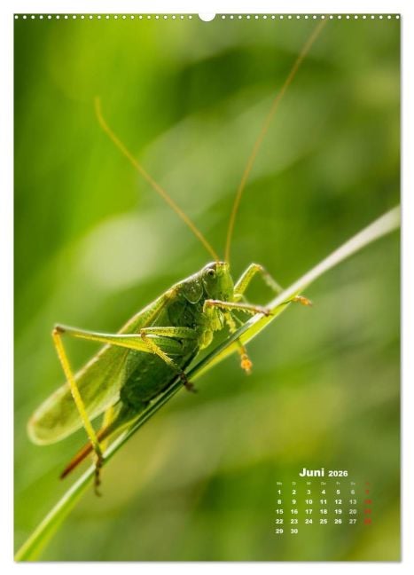 InsideView 11