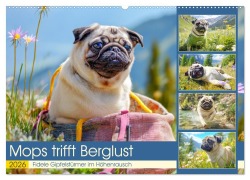 Cover-Bild zum Titel 'Mops trifft Berglust. Fidele Gipfelstürmer im Höhenrausch (Wandkalender 2026 DIN A2 quer), CALVENDO Monatskalender' von 'Rose Hurley'