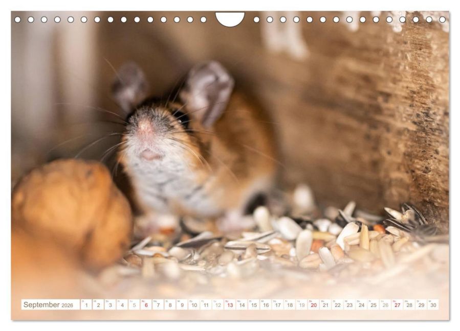 InsideView 14
