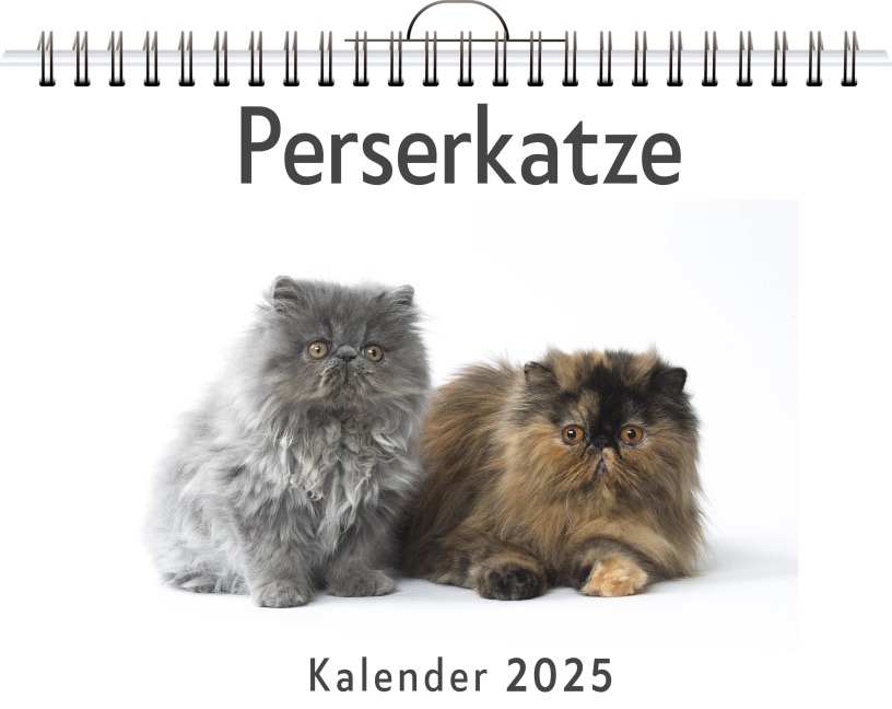 Perserkatze - Lina Maier