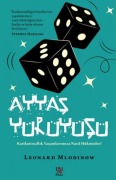 Cover-Bild zum Titel 'Ayyas Yürüyüsü' von 'Leonard Mlodinov'