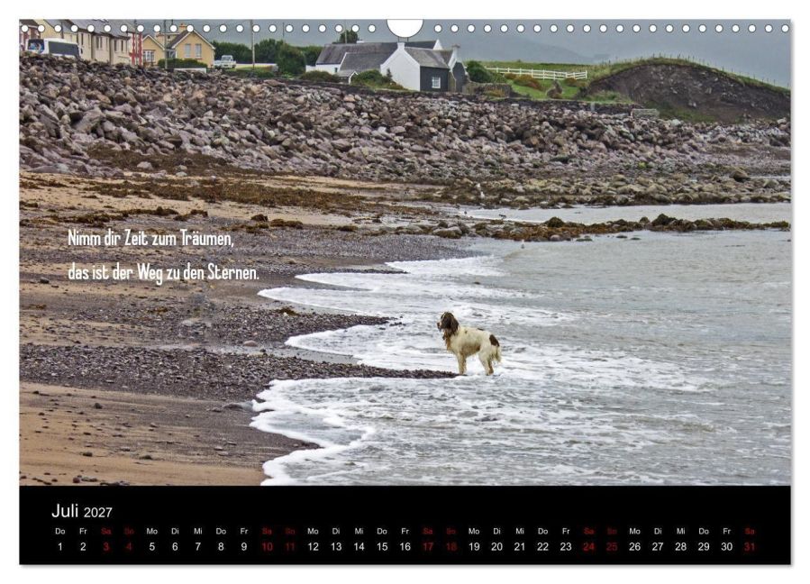 InsideView 12