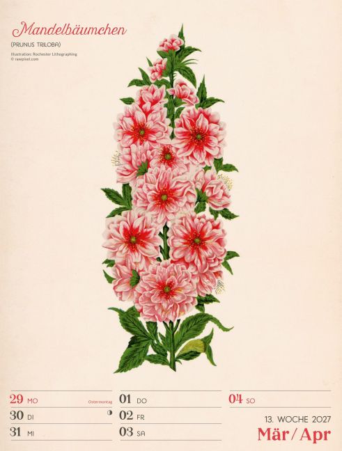 InsideView 17