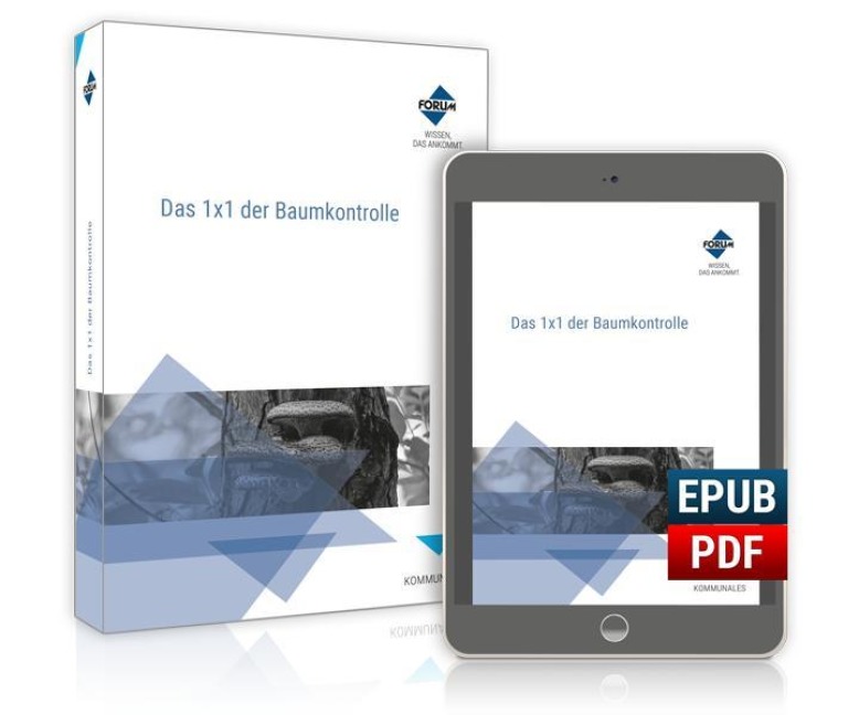 Das 1x1 der Baumkontrolle / Kombi-Ausgabe - Georg Braun, Rainer Hilsberg, Jochen Veser, Hendrik Wagler