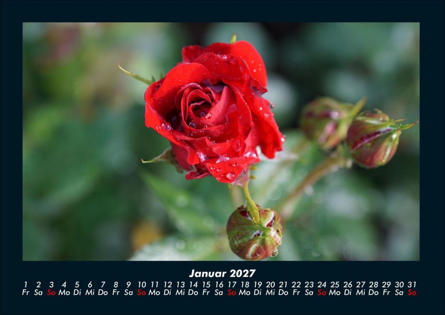 InsideView 5