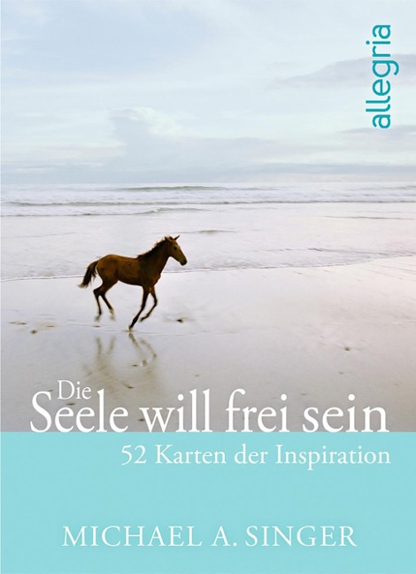 Die Seele will frei sein - Michael A. Singer