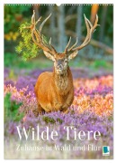 Wilde Tiere: Zuhause in Wald und Flur (Wandkalender 2026 DIN A2 hoch), CALVENDO Monatskalender - Calvendo Calvendo