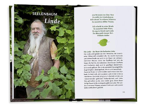 InsideView 7