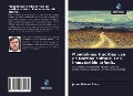 Cover-Bild zum Titel 'Mondelinge tradities van de Nortina cultuur. Een immateriële erfenis.' von 'Jaime Illanes Silva'