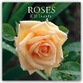 Roses - Rosen 2025 - 16-Monatskalender - Gifted Stationery Co. Ltd