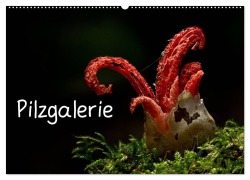 Pilzgalerie (Wandkalender 2026 DIN A2 quer), CALVENDO Monatskalender - Beate Wurster