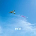 Cover-Bild zum Titel 'Negativity' von 'Deer Tick'