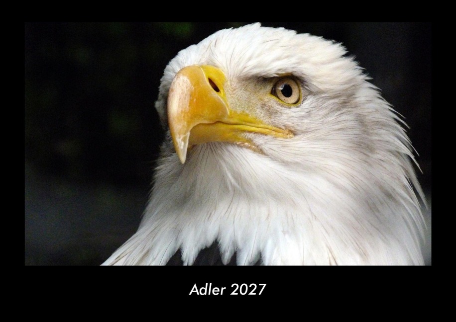 Adler 2027 Fotokalender DIN A3 - Tobias Becker