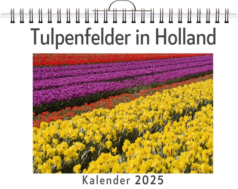 Tulpenfelder in Holland - Ben Koch